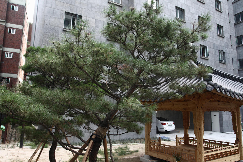 Fortune Hostel Jongno Seoel Buitenkant foto